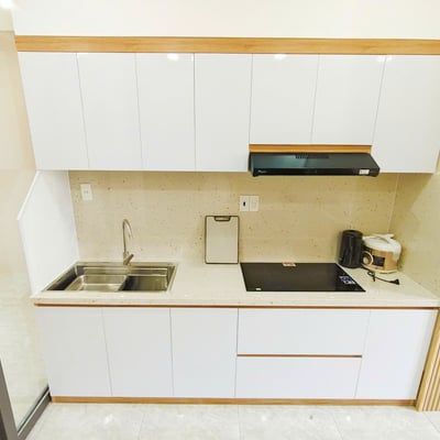 Rental of a spacious, comfortable apartment, Da Nang, Vietnam