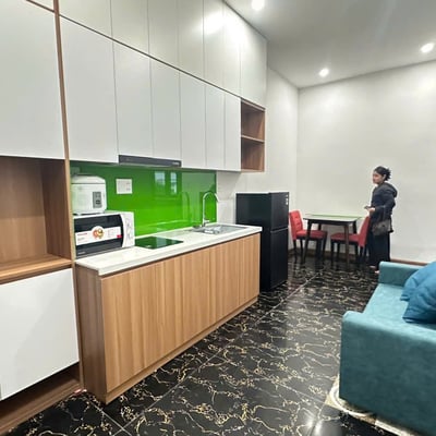 Furnished apartment for rent, pets allowed, Da Nang, Vietnam