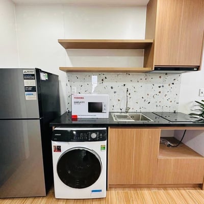 Аренда меблированной квартиры, район Нгу Хань Шон, Дананг, Вьетнам