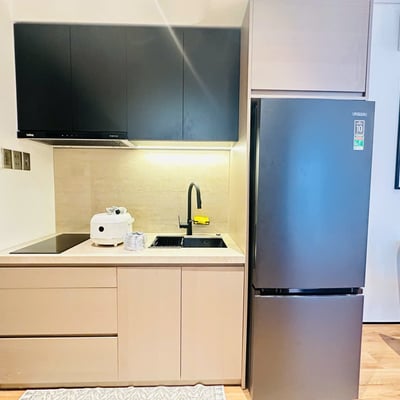 Luxuriöse Wohnung mit Haustiererlaubnis im Stadtteil Hai Chau zu vermieten, Da Nang, Vietnam
