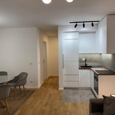 Аренда комфортной 2-комнатной квартиры, 45 m², недалеко от центра, Белград, Сербия