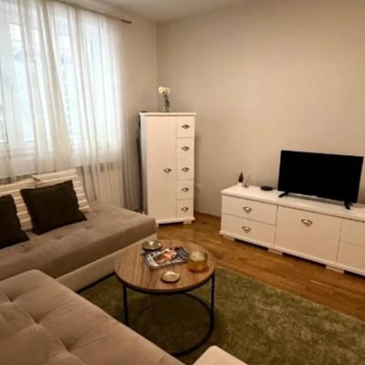 Аренда комфортной 2-комнатной квартиры, 45 м², центр Белграда, Сербия