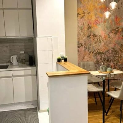 Аренда комфортной 2-комнатной квартиры, 45 м², центр Белграда, Сербия