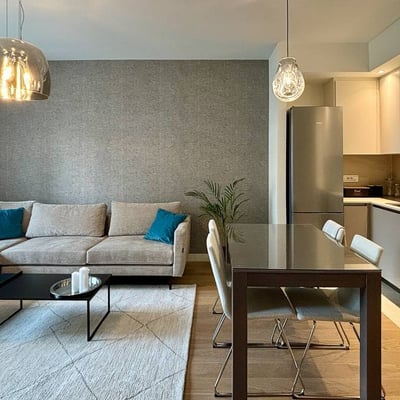 Rent of a comfortable, furnished 2-room apartment, 58 m², BW Terra, Belgrade, Serbia