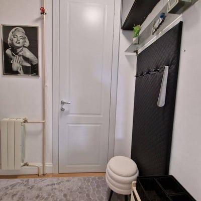 Miete einer Dreizimmerwohnung mit 56 m² und frischer Renovierung im Stadtzentrum, Stadtteil Dorćol, Belgrad, Serbien