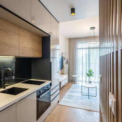 Rent of a 31 m² studio apartment in the premium residential complex BW Aurora, Belgrade, Serbia