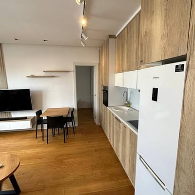 Location d’un appartement de trois pièces de 57 m² dans un immeuble neuf et moderne en centre-ville, Belgrade, Serbie