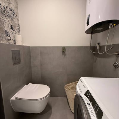 Miete einer geräumigen, vollständig renovierten 3-Zimmer-Wohnung, 107 m², im Stadtzentrum, Belgrad, Serbien