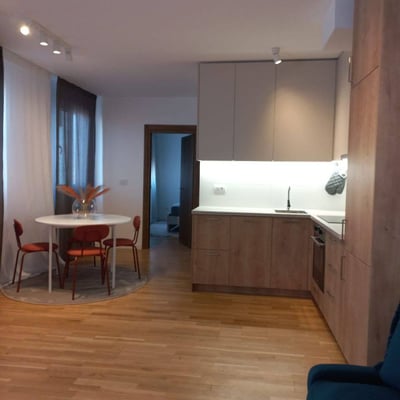 Alquiler de un apartamento absolutamente nuevo de 3 habitaciones, 60 m², en Zemun, Belgrado, Serbia