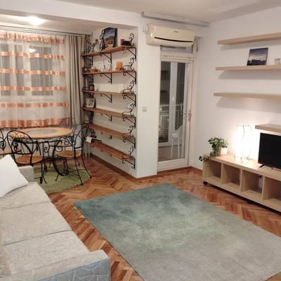 Rent of comfortable 2-room apartment 45 m², Dedinje, Belgrade, Serbia