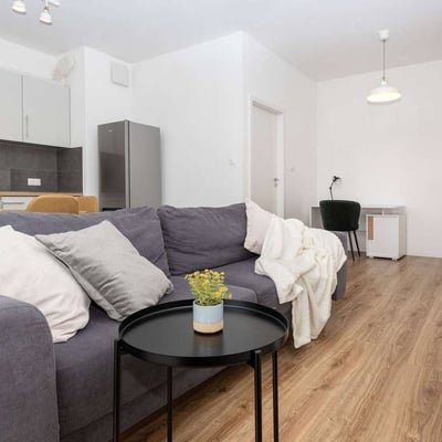 Alquiler de un apartamento acogedor de 50 m² en una excelente ubicación cerca del centro, Cracovia, Polonia
