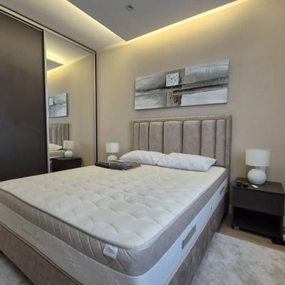 Rent of a brand-new 2-room apartment, 60 m², in the premium BW Eterna residential complex, Belgrade, Serbia