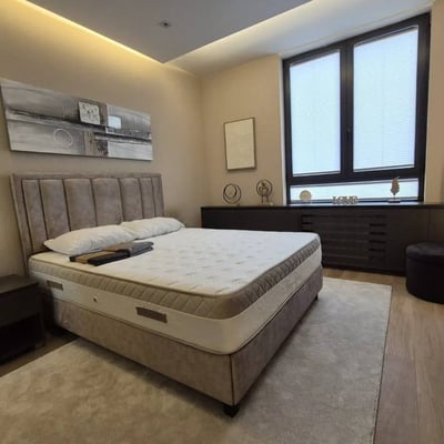 Rent of a brand-new 2-room apartment, 60 m², in the premium BW Eterna residential complex, Belgrade, Serbia