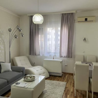 Rent of a bright 2-room apartment, 51 m², Vračar, Belgrade, Serbia
