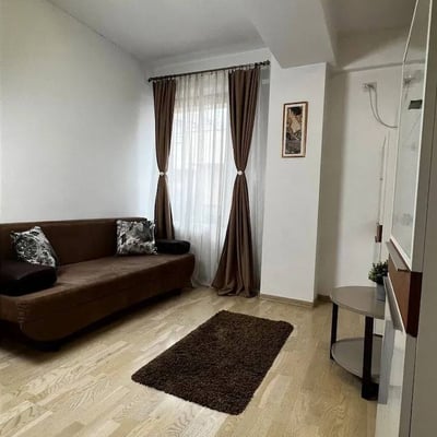Rent of a cozy 2-room apartment, 52 m², with Dâmbovița River view, city center, Bucharest, Romania