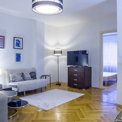 Rent of a bright two-room apartment in the city center, 53 m², Belgrade, Serbia