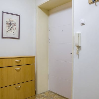 Rent of a bright two-room apartment in the city center, 53 m², Belgrade, Serbia
