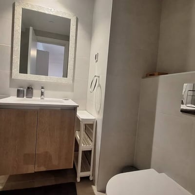 Miete einer hellen Zweizimmerwohnung, 55 m², Wohnanlage BW Parkview, Belgrad, Serbien