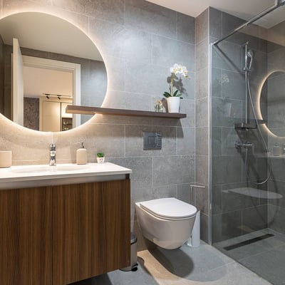 Rent of a two-room apartment in the premium BW Lumia residential complex, 58 m², Belgrade, Serbia