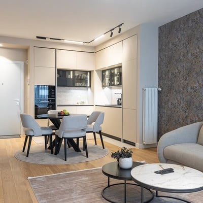 Rent of a two-room apartment in the premium BW Lumia residential complex, 58 m², Belgrade, Serbia