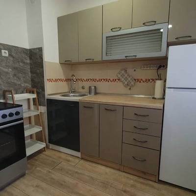 Alquiler de apartamento totalmente renovado y amueblado de tres habitaciones, 56 m², Nuevo Belgrado, Belgrado, Serbia