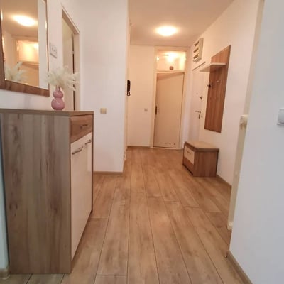 Rent of a fully renovated, furnished three-room apartment, 56 m², New Belgrade, Belgrade, Serbia