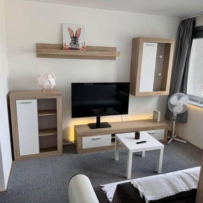 Location d’un appartement spacieux d’une pièce, 45 m², Petržalka, Bratislava, Slovaquie