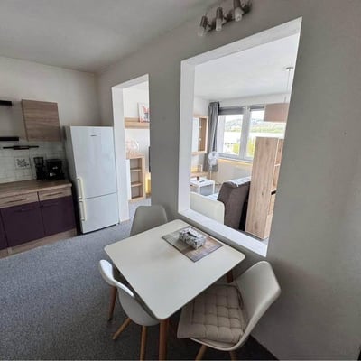 Location d’un appartement spacieux d’une pièce, 45 m², Petržalka, Bratislava, Slovaquie