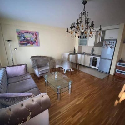 Rent of a spacious two-room apartment, 58 m², Belgrade, Vračar, Serbia