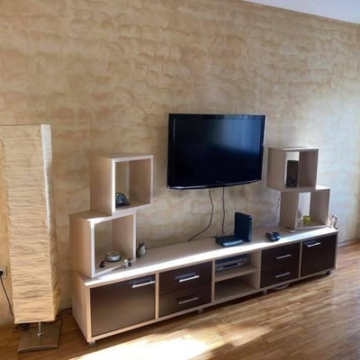 Rent of a spacious two-room apartment, 58 m², Belgrade, Vračar, Serbia