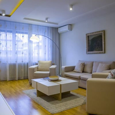 Rent of a spacious two-room apartment, 62 m², Belgrade, Vračar, Serbia