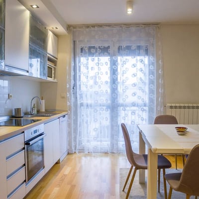 Rent of a spacious two-room apartment, 62 m², Belgrade, Vračar, Serbia