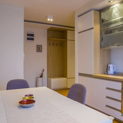 Rent of a spacious two-room apartment, 62 m², Belgrade, Vračar, Serbia