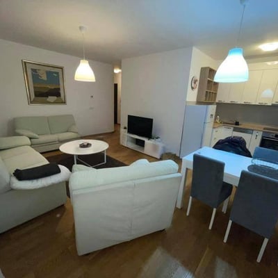 Miete einer gemütlichen Zweizimmerwohnung, 55 m², Belgrad, Vračar, Serbien