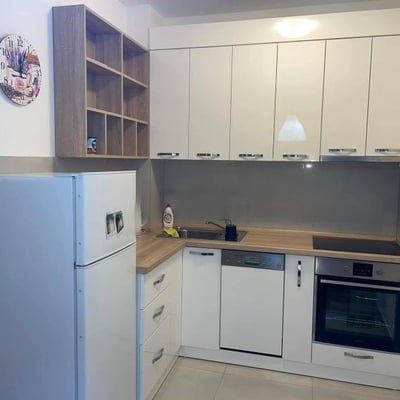 Miete einer gemütlichen Zweizimmerwohnung, 55 m², Belgrad, Vračar, Serbien