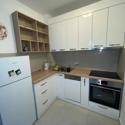 Miete einer gemütlichen Zweizimmerwohnung, 55 m², Belgrad, Vračar, Serbien
