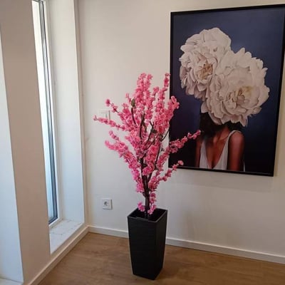 Miete einer hellen, zweistöckigen Dreizimmerwohnung, 73 m², Belgrad, Serbien