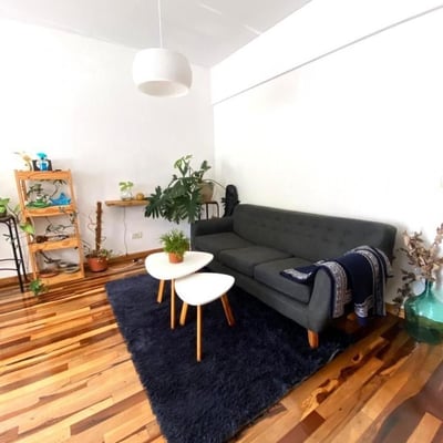 Rent of a cozy two-room apartment, 42 m², Buenos Aires, Caballito, Argentina