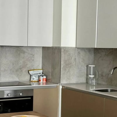 Rent of a two-room apartment in a premium residential complex, 55 m², Belgrade, Belgrade Waterfront, Serbia