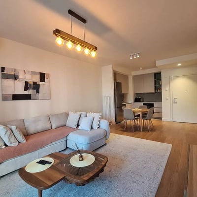 Rent of a two-room apartment in a premium residential complex, 56 m², Belgrade, Belgrade Waterfront, Serbia