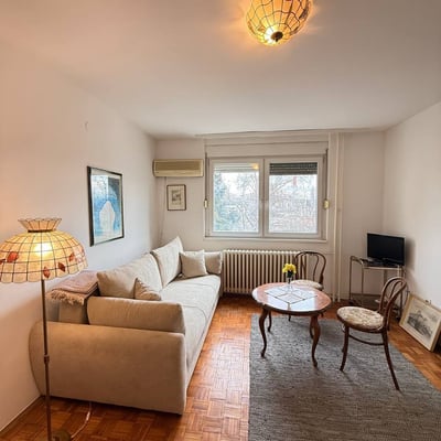 Rent of a bright one-room apartment in the city center on the Danube embankment, 43 m², Belgrade, Serbia