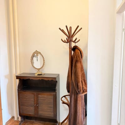 Rent of a bright one-room apartment in the city center on the Danube embankment, 43 m², Belgrade, Serbia