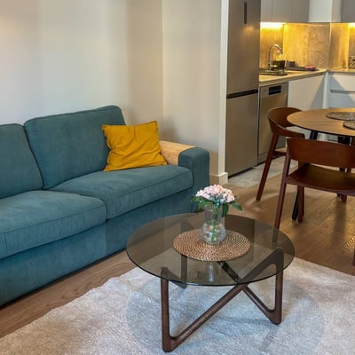 Rent of a two-room apartment in a premium residential complex, 53 m², Belgrade, Belgrade Waterfront, Serbia