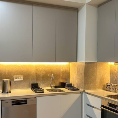 Rent of a two-room apartment in a premium residential complex, 53 m², Belgrade, Belgrade Waterfront, Serbia