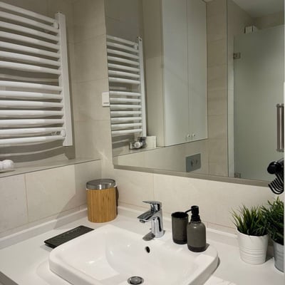 Rent of a spacious two-room apartment in the city center, 63 m², Belgrade, Serbia