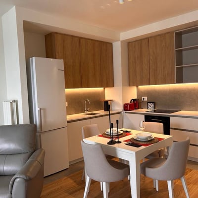 Rent of a brand-new two-room apartment, 53 m², Belgrade, Belgrade Waterfront, Serbia