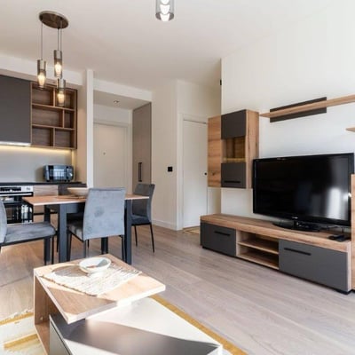 Rent of a modern apartment in the premium-class residential complex BW Simfonija, 50 m², Belgrade, Belgrade Waterfront, Serbia