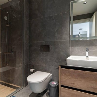 Rent of a modern apartment in the premium-class residential complex BW Simfonija, 50 m², Belgrade, Belgrade Waterfront, Serbia