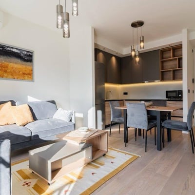 Alquiler de un apartamento moderno en el complejo residencial de clase premium BW Simfonija, 50 m², Belgrado, Belgrade Waterfront, Serbia