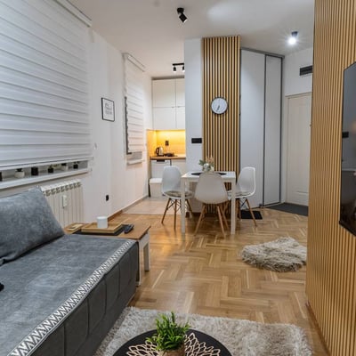 Rent of a cozy two-room apartment, 40 m², Belgrade, Voždovac, Serbia